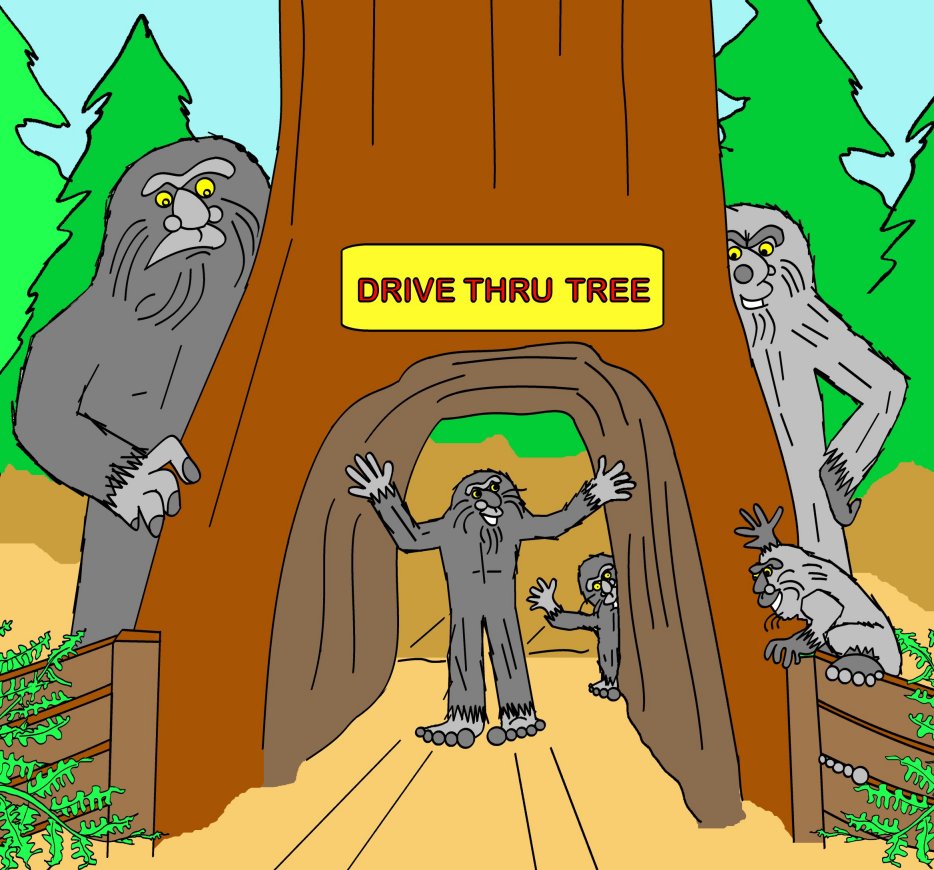 Hello Bigfoot ColorBook