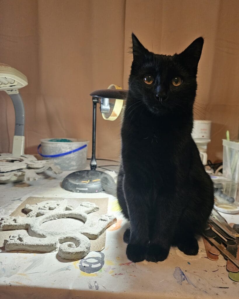 A black cat sitting on top of a table.