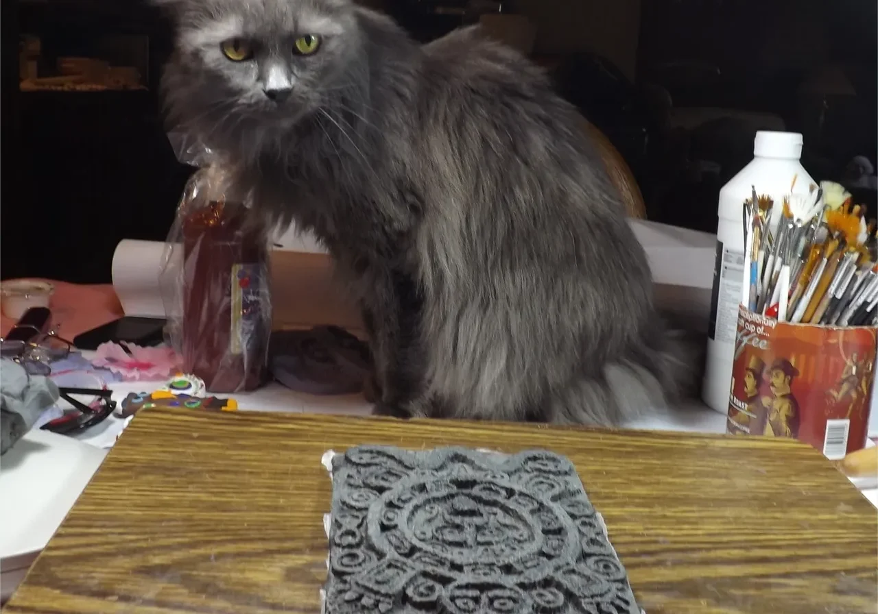 Gray cat sitting on a tabletop.