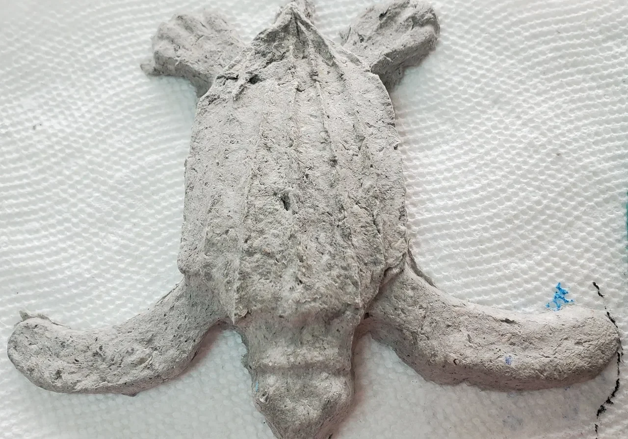 Clay turtle sculpture on paper towel.